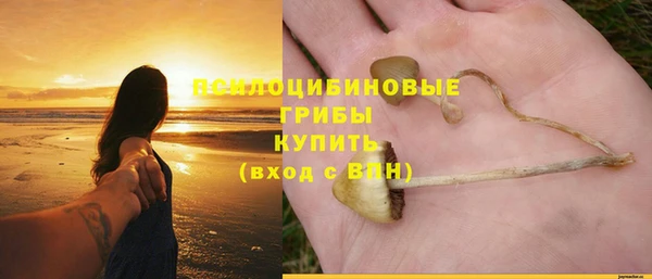 амф Белоозёрский