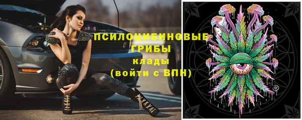 дурь Беломорск