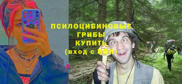 амф Белоозёрский