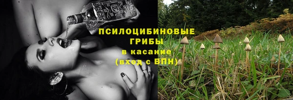 амф Белоозёрский