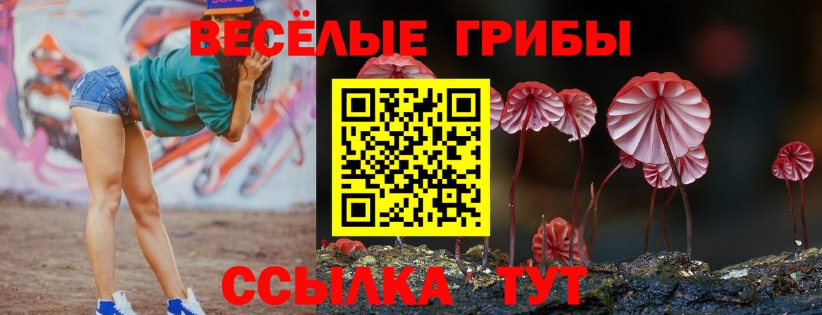 Галлюциногенные грибы Psilocybe Нерюнгри