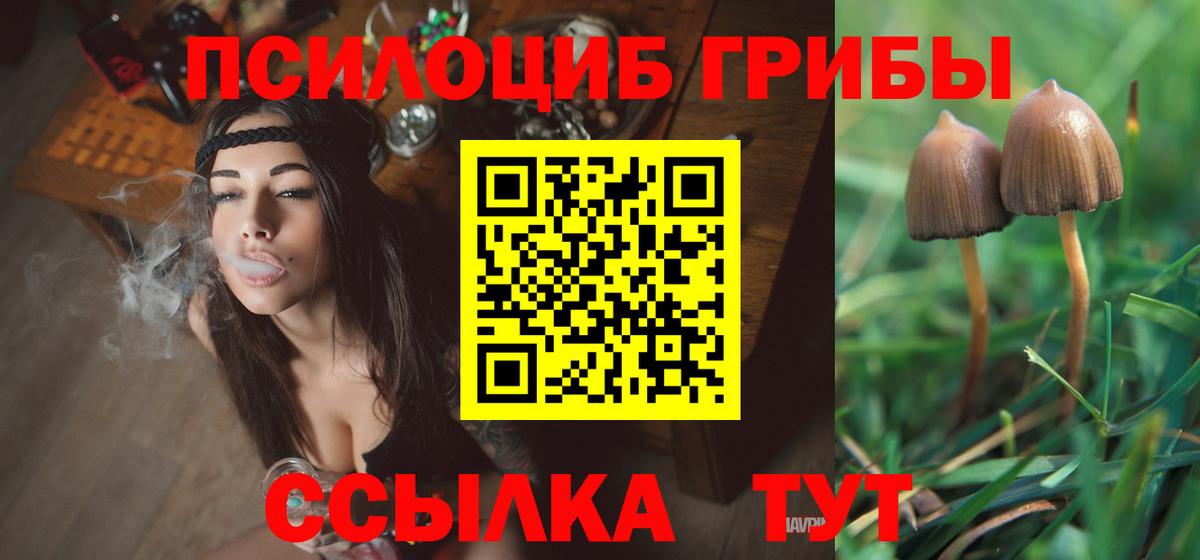 Нерюнгри  Галлюциногенные грибы MAGIC MUSHROOMS  Вход с VPN 
